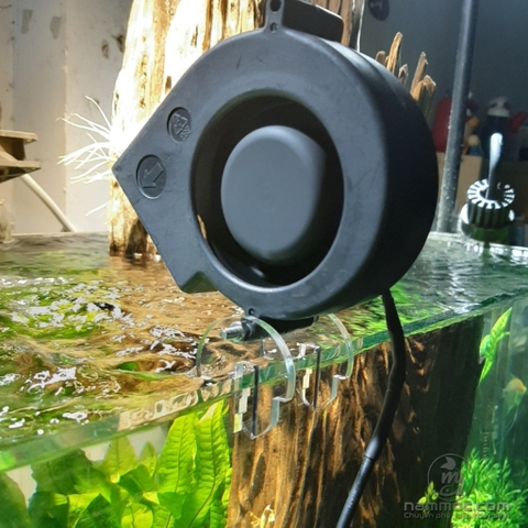 QUẠT SÒ MINI SIÊU ÊM (FULL BỘ) | QUẠT LÀM MÁT HỒ CÁ TÉP HỒ THUỶ SINH