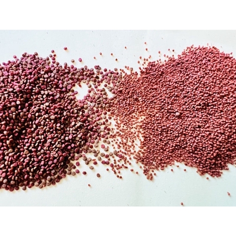 Thức Ăn TROPICAL cao cấp cho cá cảnh | Cám Tăng Màu Tăng Đề Kháng, Lợi Khuẩn cho cá (Hàng Cty)