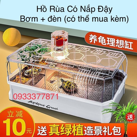 Hồ Rùa Cao Cấp Siêu Đẹp GG 06 XL Size 65x33x24 (Hàng Nhập Khẩu)