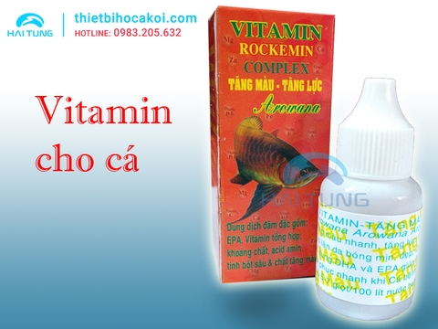 Vitamin tăng màu tăng lực chuyên cá rồng Rockemin