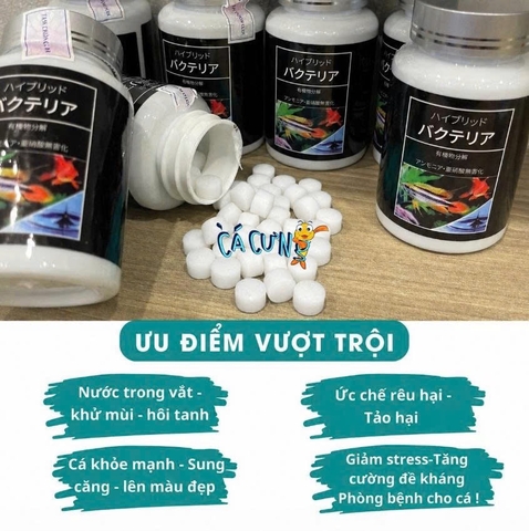 Vi sinh viên nén Aquarista Nhật Bản (Hộp 100 viên)