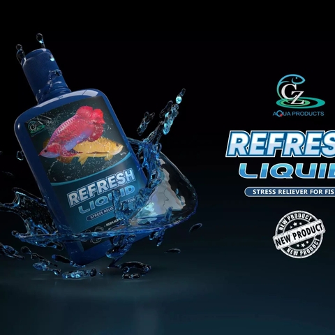 DUNG DỊCH VITAMIN REFRESH 100ml cho cá cảnh chống stress (Hàng Công Ty - Cá Cưng)