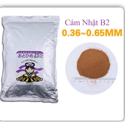 CÁM NHẬT B2 - THỨC ĂN CHO CÁ BẢY MÀU 50G