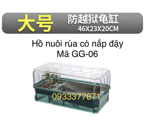 Hồ Rùa Cao Cấp Siêu Đẹp GG 06 size 46x20x23 (Hàng Nhập Khẩu)