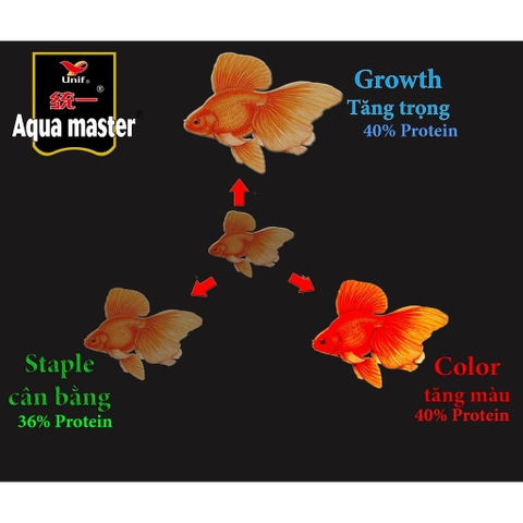Cám cá vàng - Thức ăn cho cá vàng ba đuôi ranchu AQUAMASTER Goldfish gói 250g