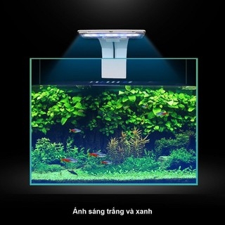 Đèn LED Kẹp Thành Bể Cá RGB M-180 Đèn LED Trắng/ Xanh/ 3 Màu