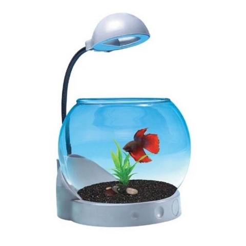 Bể Cá Mini dạng tròn Siêu Dễ Thương Jeneca TG-