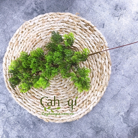 CÀNH TÙNG GIẢ, NHÁNH TÙNG XANH - CÂY HOA GIẢ CAO CẤP