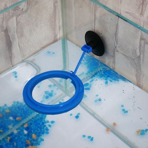 VÒNG GIỮ THỨC ĂN CHO CÁ CẢNH (Hàng Công Ty)