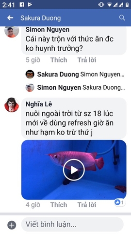 Vitamin REFRESH Dưỡng Cá dành cho mọi loại cá cảnh - HÀNG CÔNG TY