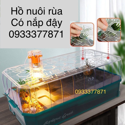 Hồ Rùa Cao Cấp Siêu Đẹp GG 06 size 46x20x23 (Hàng Nhập Khẩu)