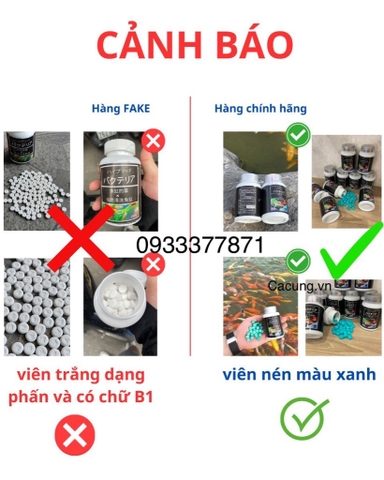 Vi sinh viên nén Aquarista Nhật Bản (Hộp 100 viên)