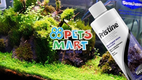 VI SINH CAO CẤP XỬ LÝ NƯỚC SEACHEM PRISTINE