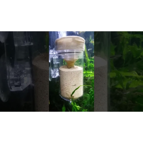 Vật Liệu Lọc Nước Seachem Purigen (Hàng Công Ty USA)