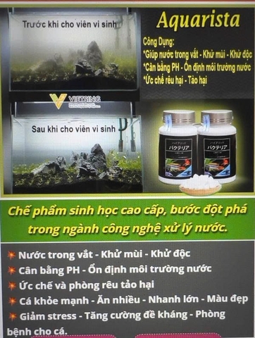 Vi sinh viên nén Aquarista Nhật Bản (Hộp 100 viên)