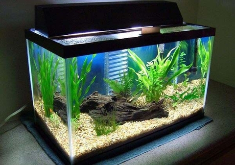 Bộ Dụng Cụ Bể Cá JENECA  7in1 AS60 Cho Hồ Cá Cảnh, Hồ Thủy Sinh