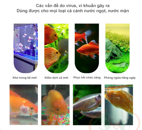 Thuốc TETRA NHẬT 5g - Xử lý nấm, kháng sinh cho cá cảnh (1 gói) - HÀNG CHÍNH HÃNG
