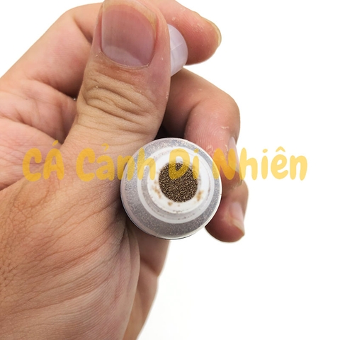 ARTEMIA ẤP NỞ NHẬP KHẨU MỸ 10GAM GOLDEN BAY CHO CÁ CON