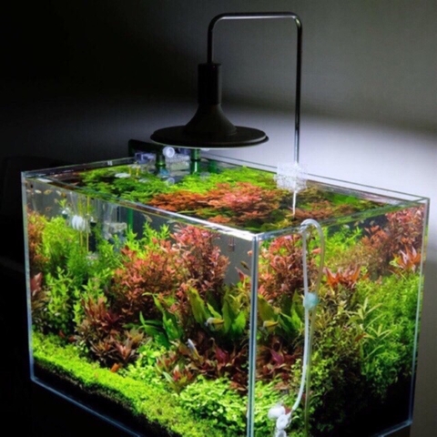 Đèn Led XINMA Siêu Sáng - Đèn Led Đĩa Kẹp Thành Hồ Cá, Hồ Thủy Sinh Lớn - Đèn Led Rọi 20W, 40W