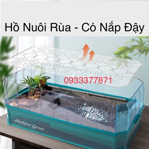 Hồ Rùa Cao Cấp Siêu Đẹp GG 06 XL Size 65x33x24 (Hàng Nhập Khẩu)