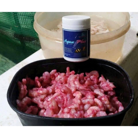 CZ13 - AQUA PLUS (VITAMIN CHO RỒNG, HỔ, SAM)