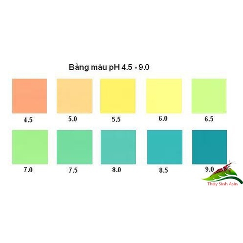 Dung Dịch Kiểm Tra pH cho hồ cá (Hàng Công Ty)