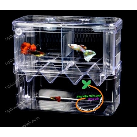 Lồng Đôi Cá Đẻ bằng Nhựa (Hàng công Ty)