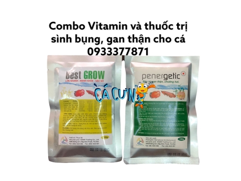 Penegertic - Xử Lý Sình Bụng, Gan Thận cho cá (100g)