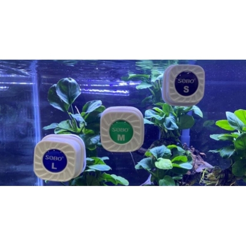 Hít Nam Châm Chà Hồ Mini Sobo (Hàng Công Ty)