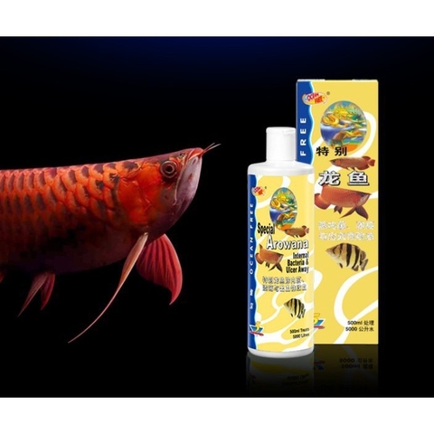 Chai Số 5 cá rồng - Xử lý lở loét, Mờ mắt, Xù Vảy cho cá cảnh (Hàng Công Ty)