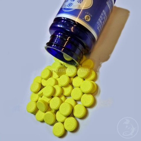 Viên Dưỡng Cá TETRA Đài Loan | Diệt Nấm Khuẩn - Dưỡng Cá Khoẻ Mạnh (Hàng Công Ty)