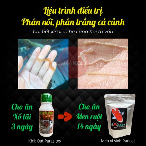 Kick Out Parasites 100ml - Hỗ trợ xử lý sán, giun, nội ký sinh an toàn cho cá Koi cá cảnh (Hàng Cty)