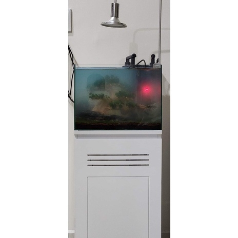 API ALGAE CURE POND - Vi Sinh phân huỷ phân cá, tảo, làm trong nước, giảm bụi cực nhanh (HÀNG CTY)