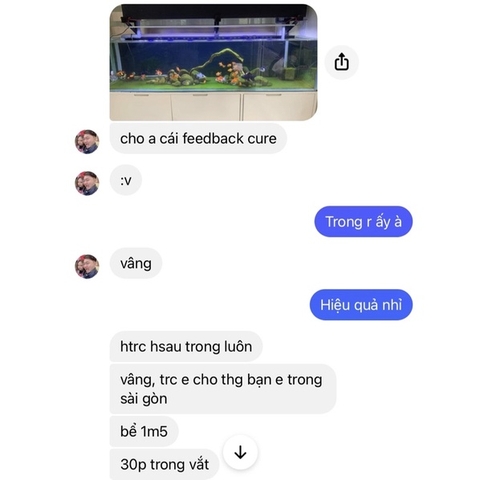 API ALGAE CURE POND - Vi Sinh phân huỷ phân cá, tảo, làm trong nước, giảm bụi cực nhanh (HÀNG CTY)