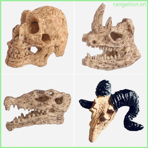 Tiểu Cảnh Đầu Lâu Cổ Đại, Khủng Long Trang Trí Hồ Cá, Chậu Cây, Tiểu Cảnh Terrarium (Hàng Công Ty)