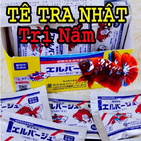 Thuốc TETRA NHẬT 5g - Xử lý nấm, kháng sinh cho cá cảnh (1 gói) - HÀNG CHÍNH HÃNG