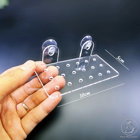 Giá Đỡ Cây Thủy Sinh Mica - Vỉ Acrylic Trồng Cây Thủy Sinh - Tấm Nâng Acrylic | Giá Thể Ươm Cây