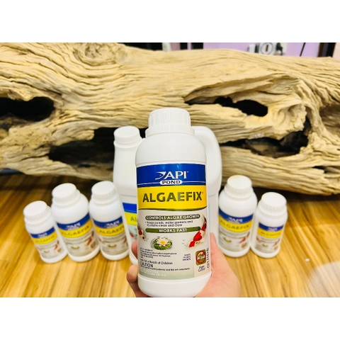 API Algaefix Pond - Công nghệ Hoá học chuyên Diệt Rêu Hại, Chùm Đen, Rêu Tóc, Tảo Nâu (HÀNG CTY)