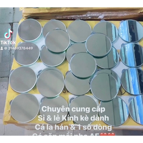 Kính Kè Cá La Hán - Kính Kè Tròn Circle (9cm) giúp cá bung sung khỏe (Hàng Công Ty)