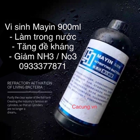 Vi Sinh Mayin 900ml chuyên dụng cao cấp cho cá rồng và các loại cá cảnh (Hàng Công ty)