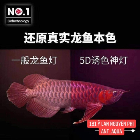 ĐÈN BỂ CÁ NO1 5D BELOS ĐỎ CÁ KO ĐỎ NƯỚC - TANNING CÁ RỒNG 5 HÀNG BÓNG 70CM | 90CM | 110CM | 140CM | 170CM