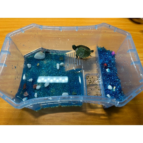 Sỏi Xanh Mini | Sỏi cát thủy tinh mini trang trí bể cá, chậu cây, tiểu cảnh terrarium (Hàng Loại 1)