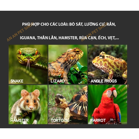 Bột GYP G-14 bổ sung Canxi & D3 cho Bò sát, Lưỡng cư, Rùa cạn, Rắn, Thằn lằn, Ếch, Vẹt (Hàng Cty)