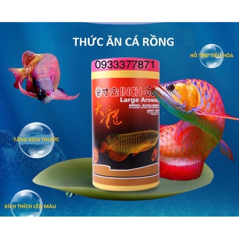 Thức Ăn Chuyên Dụng Cho Cá Rồng INCH GOLD giúp lên màu đẹp, tăng sức đề kháng (Hàng Công Ty)