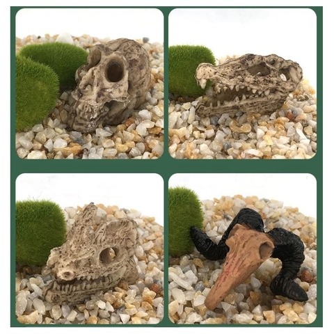 Tiểu Cảnh Đầu Lâu Cổ Đại, Khủng Long Trang Trí Hồ Cá, Chậu Cây, Tiểu Cảnh Terrarium (Hàng Công Ty)