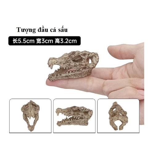 Tiểu Cảnh Đầu Lâu Cổ Đại, Khủng Long Trang Trí Hồ Cá, Chậu Cây, Tiểu Cảnh Terrarium (Hàng Công Ty)