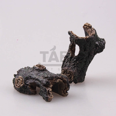 Khúc Gỗ Mục 5x3x2 Trang Trí Hồ Cá, Bể Cá, Chậu Cây, Tiểu Cảnh Terrarium [GỖ MỤC] - Hàng Loại 1