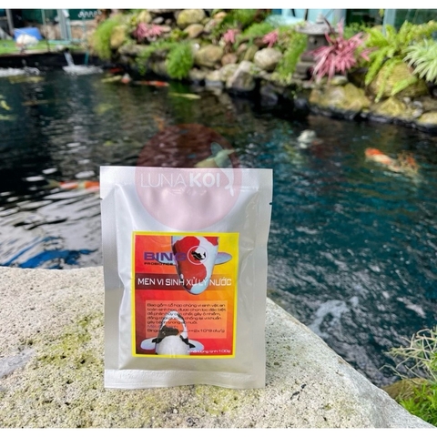 Men Vi Sinh cá koi BINGO 100g làm trong nước, phân huỷ chất thải, hạn chế rêu hồ cá (Hàng Cty)
