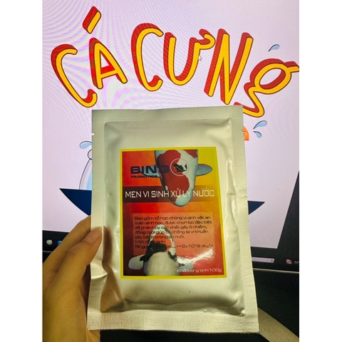 Men Vi Sinh cá koi BINGO 100g làm trong nước, phân huỷ chất thải, hạn chế rêu hồ cá (Hàng Cty)