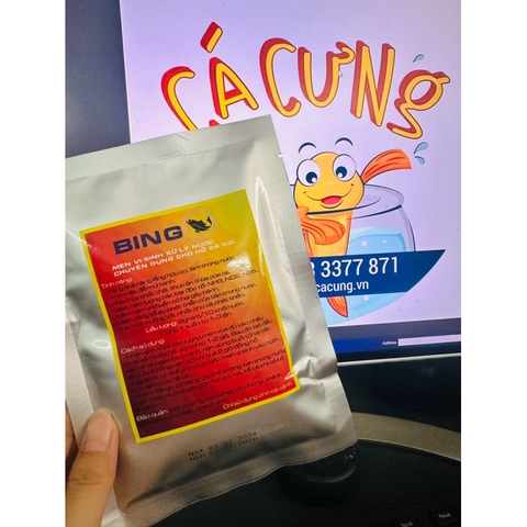 Men Vi Sinh cá koi BINGO 100g làm trong nước, phân huỷ chất thải, hạn chế rêu hồ cá (Hàng Cty)